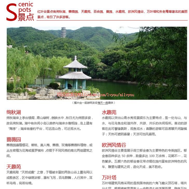 ailvyou201��Ҷ�����ι��� ��20Ԫ