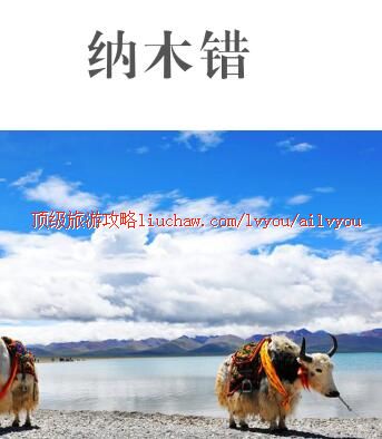 ailvyou444��ľ�����ι���  ��20Ԫ