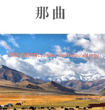 ailvyou443�������ι���     ��20Ԫ