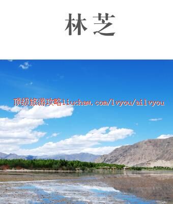 ailvyou442��֥���ι���     ��20Ԫ