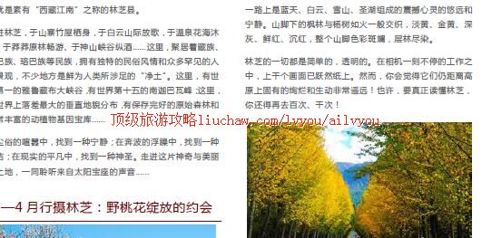 ailvyou442��֥���ι���     ��20Ԫ