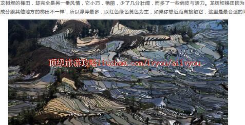 ailvyou434Ԫ�������������ι���  ��20Ԫ