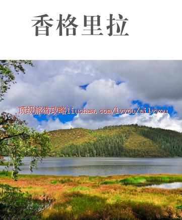 ailvyou433����������ι���        ��20Ԫ