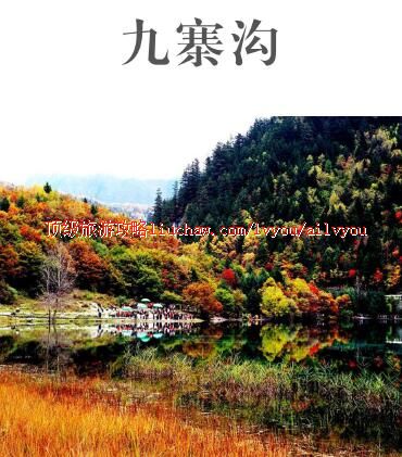 ailvyou414��կ�����ι���     ��20Ԫ