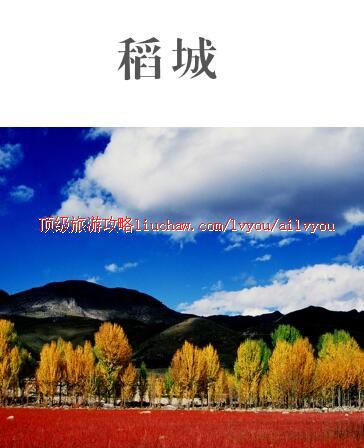 ailvyou409�������ι���        ��20Ԫ