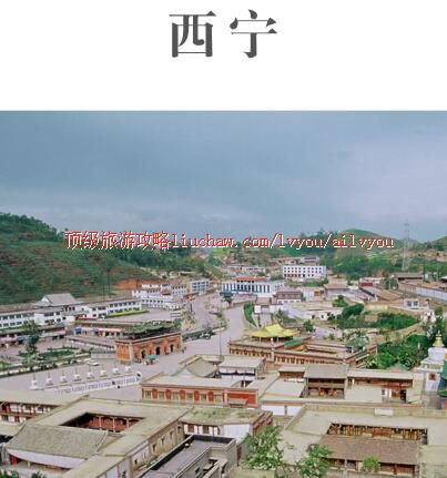 ailvyou393�������ι���         ��20Ԫ