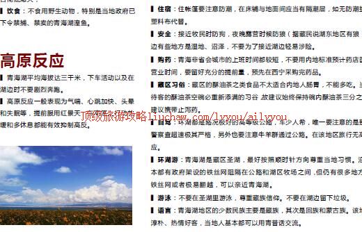 ailvyou392�ຣ�����ι���      ��20Ԫ