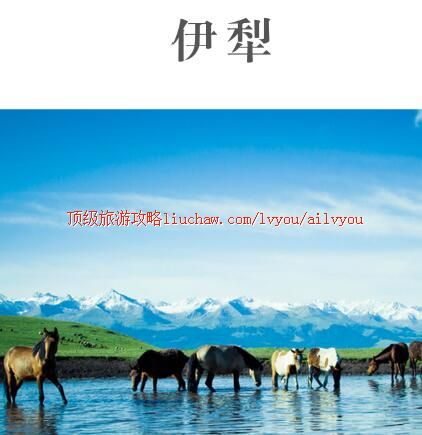ailvyou390伊犁旅游攻略 售20元