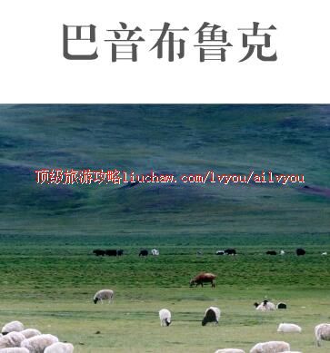 ailvyou385巴音布鲁克旅游攻略 售20元