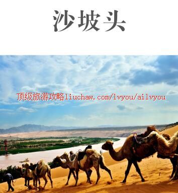 ailvyou383沙坡头攻略 售20元