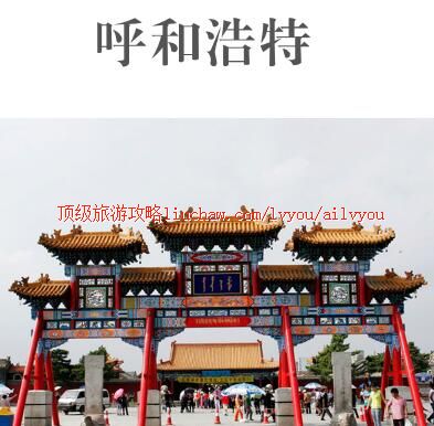 ailvyou381���ͺ������ι���  ��20Ԫ