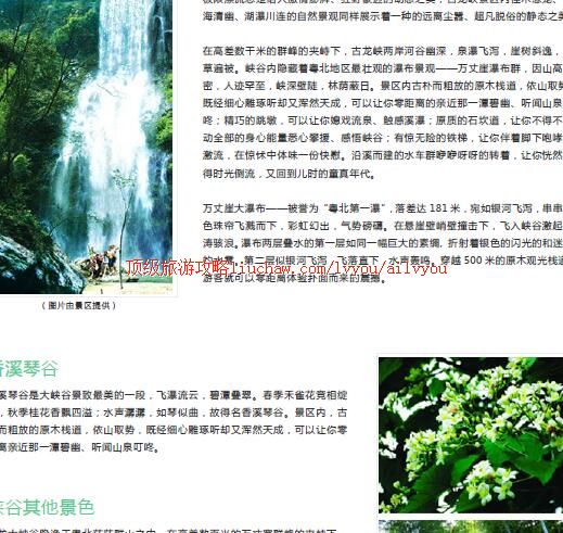 ailvyou316����Ͽ���ι���       ��20Ԫ