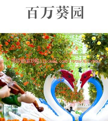 ailvyou312�����԰���ι���    ��20Ԫ