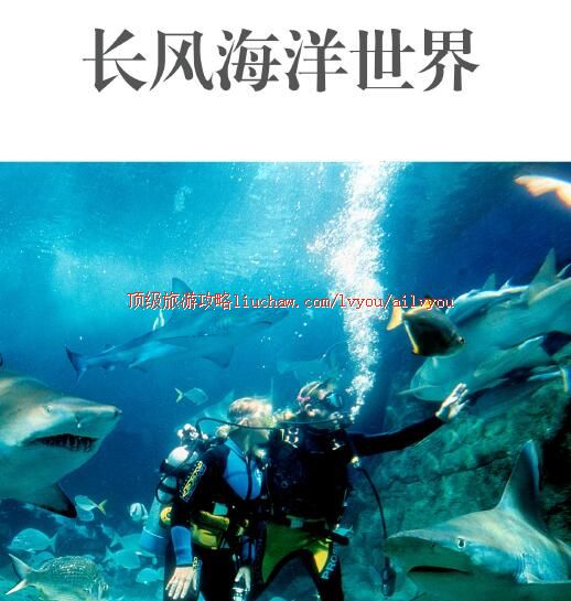 ailvyou299上海长风海洋世界旅游攻略 售20元
