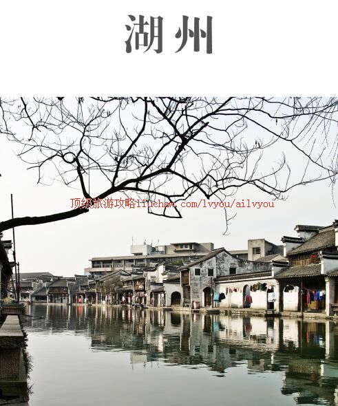 ailvyou264�������ι���         ��20Ԫ