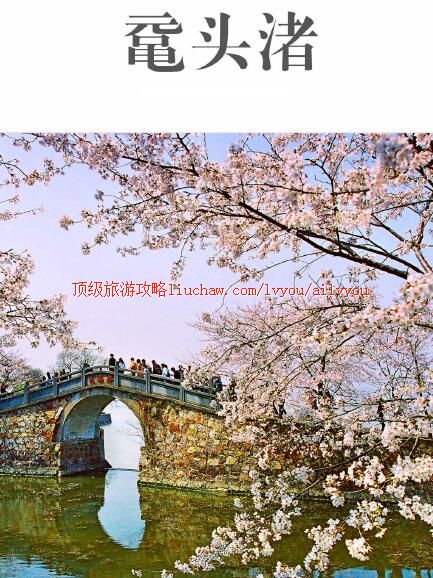 ailvyou249鼋头渚旅游攻略 售20元