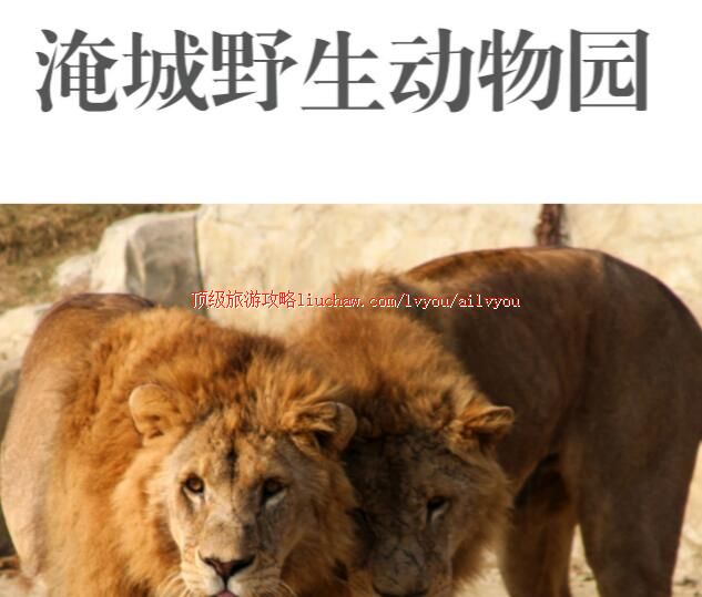 ailvyou221�����ͳǴ�����԰���ι���    ��20Ԫ