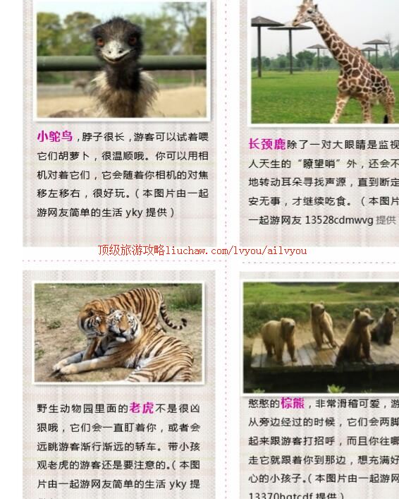 ailvyou221�����ͳǴ�����԰���ι���    ��20Ԫ