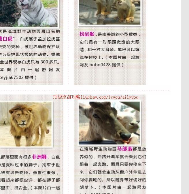 ailvyou221�����ͳǴ�����԰���ι���    ��20Ԫ