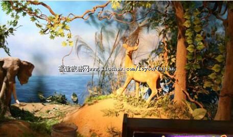 �й���̨Ե�����