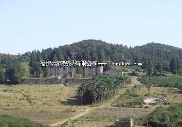 中共福建省委机关和闽中特委龙卷墓根据地遗址