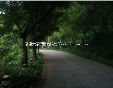 南山公园(南美路)