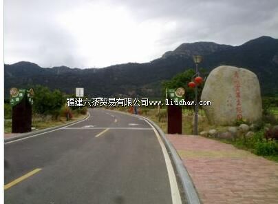 董奉山国家森林公园