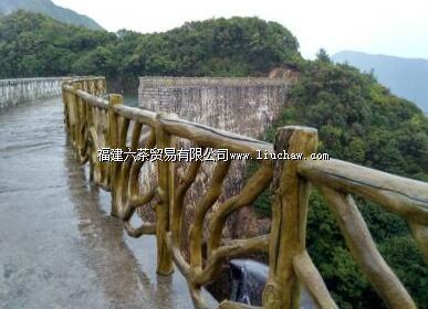 �ƶ���Ͽ��