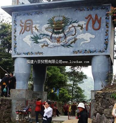 ��̩�ɶ�����