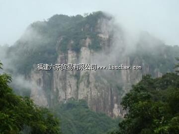 藤山自然保护区