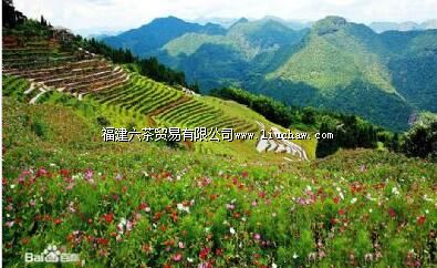 �����ƶ�����