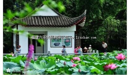 福州茶亭公园