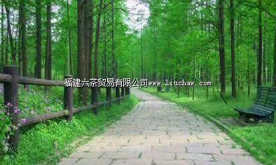 平潭海岛国家森林公园