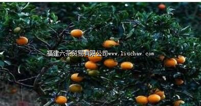 ������������ũ��