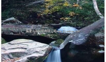 黄楮林自然保护区