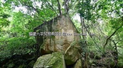 三叠井森林公园