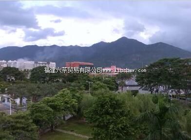 福建中医药大学