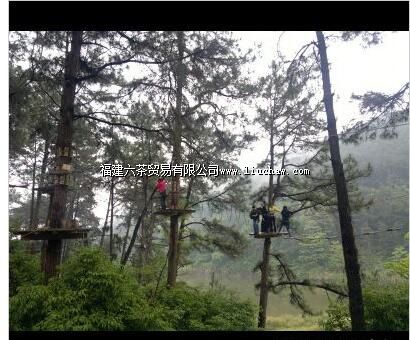 飞越丛林冒险乐园