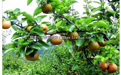 �̷�ũҵ��̬԰