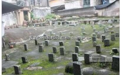 ��������̨�彫ʿĹȺ