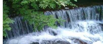 ������̶