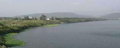 ��Ϫ��Ȫɭ�ֹ�԰