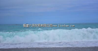 ̦¼�������