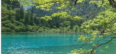 ��ͷ������ʤ��