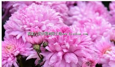 ���ݶ�ͯ��԰