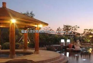 ������������������