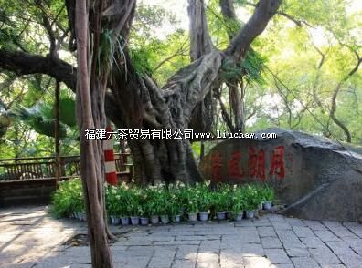 ���ʷ�����