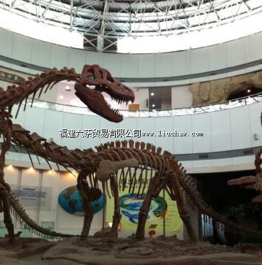 福建博物院自然馆(福州自然馆)