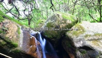 灵石山国家森林公园