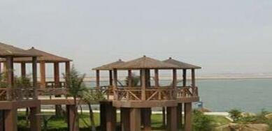 ���ڵ����ζȼ���